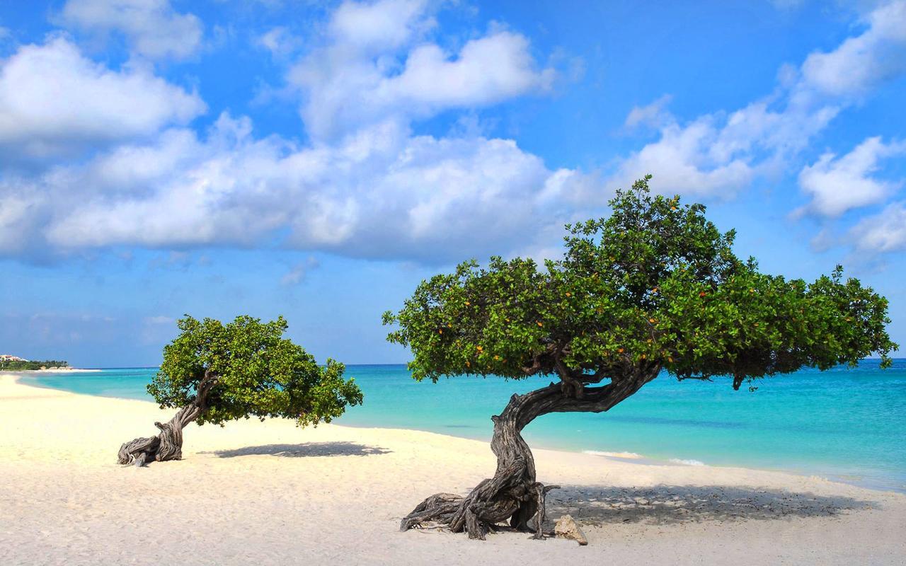 Buddha Studios Aruba شاطئ بالم المظهر الخارجي الصورة